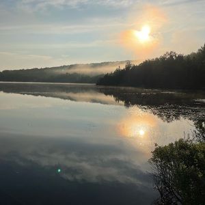 Meet your Posher, Larance